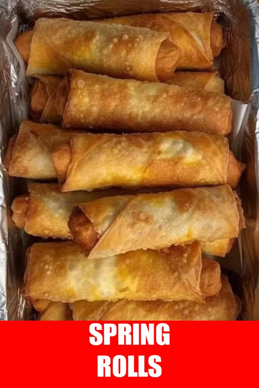 SPRING ROLLS