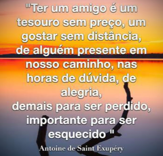 “Um Amigo  Um amigo é fruto de uma escolha.  É uma opção de amor  É a descoberta da alma irmã.  É a consciência clara e permanente de algo sublime  que não está na natureza das coisas perecíveis.  É um tesouro sem preço, um gostar sem distância,  de alguém presente em nosso caminho,  nas horas de dúvida, de alegria, demais para ser perdido,  importante para ser esquecido ...” - Antoine de Saint-Exupéry