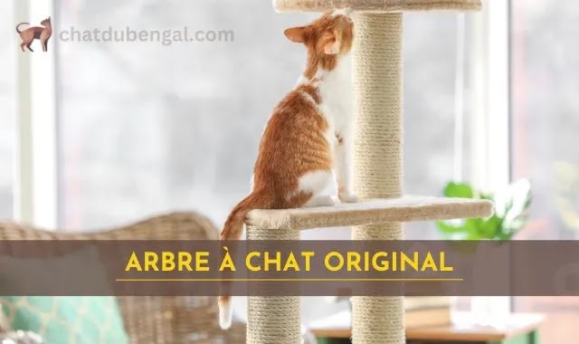 arbre à chat original