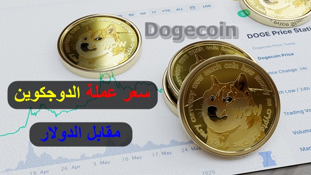 داج كوين سعر