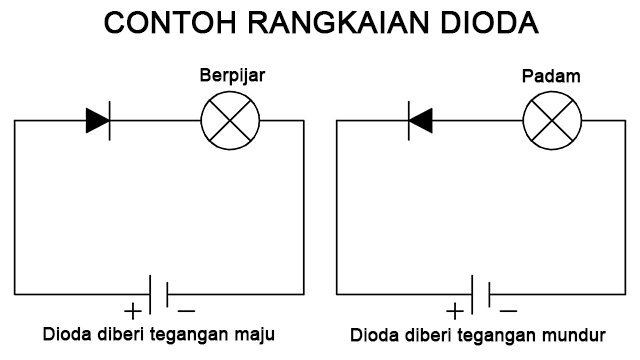 Dioda Pengertian Jenis Fungsi Contoh Rangkaian