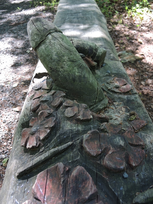 Kapellen: bunkers en loopgraven in het Mastenbos