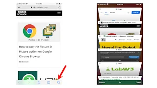 Safari Search