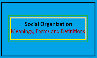 The structure of individual and group connections is referred to as social organization. The term "organization" refers to the overall technical arrangement of components, while "social" alludes to the fact that social structures emerge from individual and group interactions.
