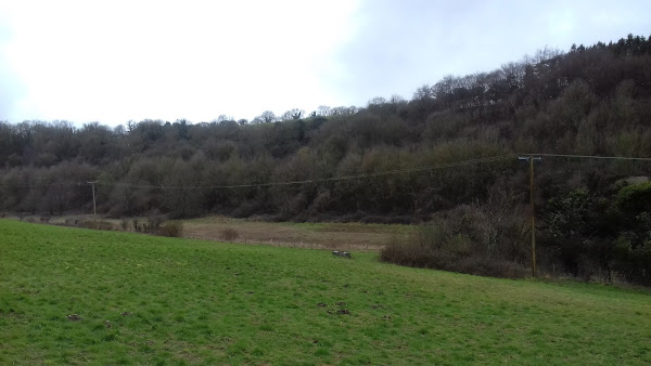 Hills and woodland adjacent to the finish funnel