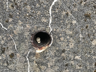 Picture of a small ceramic skull (Skulferatu 53) in a hole in the wall of the Winding Engine House.  Photograph by Kevin Nosferatu for the Skulferatu Project.