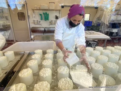 cheese-making at Pennyroyal Goat Dairy and Farm in Boonville, California