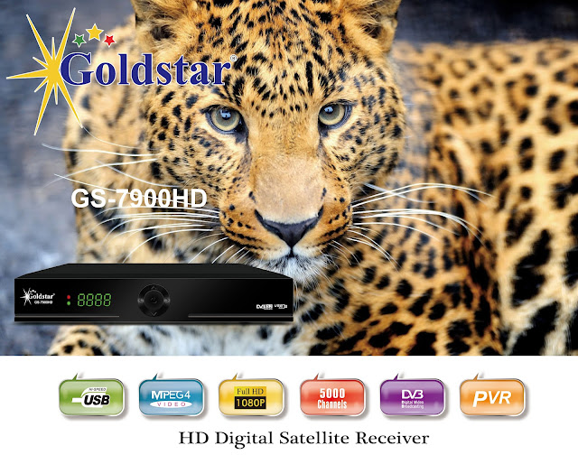 GOLDSTAR GS-7900HD NEW SOFTWARE UPDATE 2022