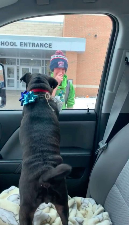 A father surprises his child at school by bringing back their lost dog, filling their hearts with pure joy.