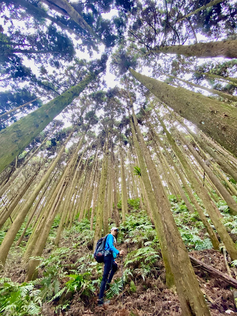 往洗水山北峰