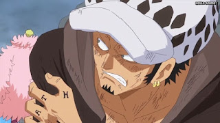 ワンピースアニメ ドレスローザ編 709話 トラファルガー・ロー トラ男 Trafalgar Law | ONE PIECE Episode 709