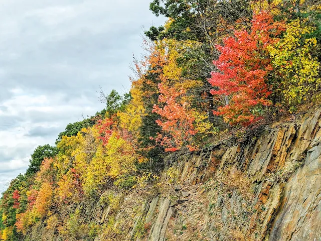 Fall Foliage en route to Poughkeepsie NY