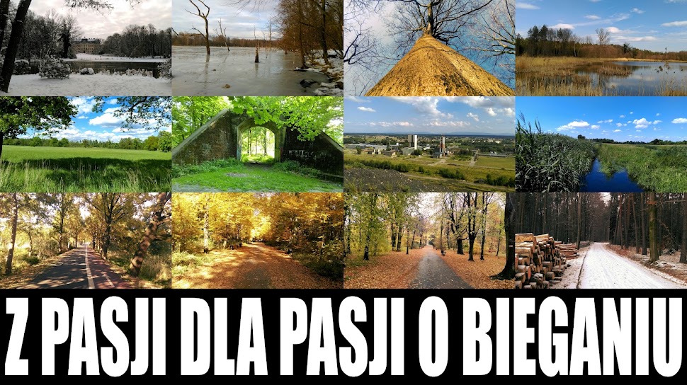  z pasji dla pasji o bieganiu...