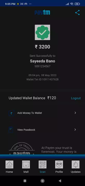 fake payment app