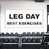 Leg day workout: Push-Pull-Leg Series Part 3