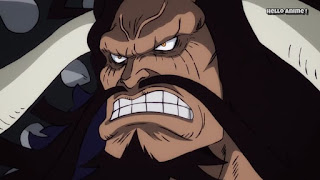 ワンピースアニメ 916話 ワノ国編 | ONE PIECE 四皇 カイドウ ウオウオの実 モデル 青龍 Kaido Uo Uo no Mi