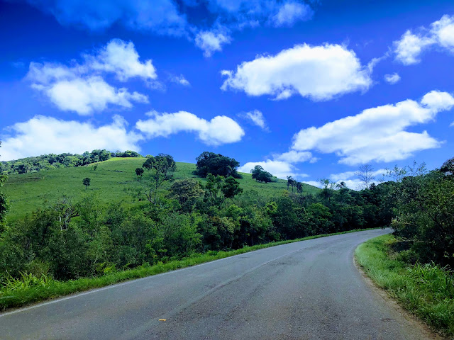 A foto mostra aspectos da natureza sem poluição nas florestas da Mata Atlântica, RS, Brasil.