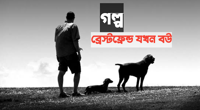 ব্রেস্টফ্রেন্ড যখন বউ । শেষ পর্ব 