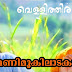 Nee Manimukiladakal | Vellithira | Malayalam Movie Song Lyrics 