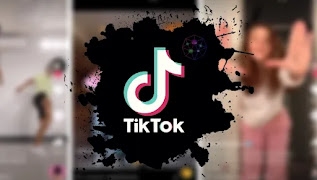 Download TikTok MOD APK Without Watermark