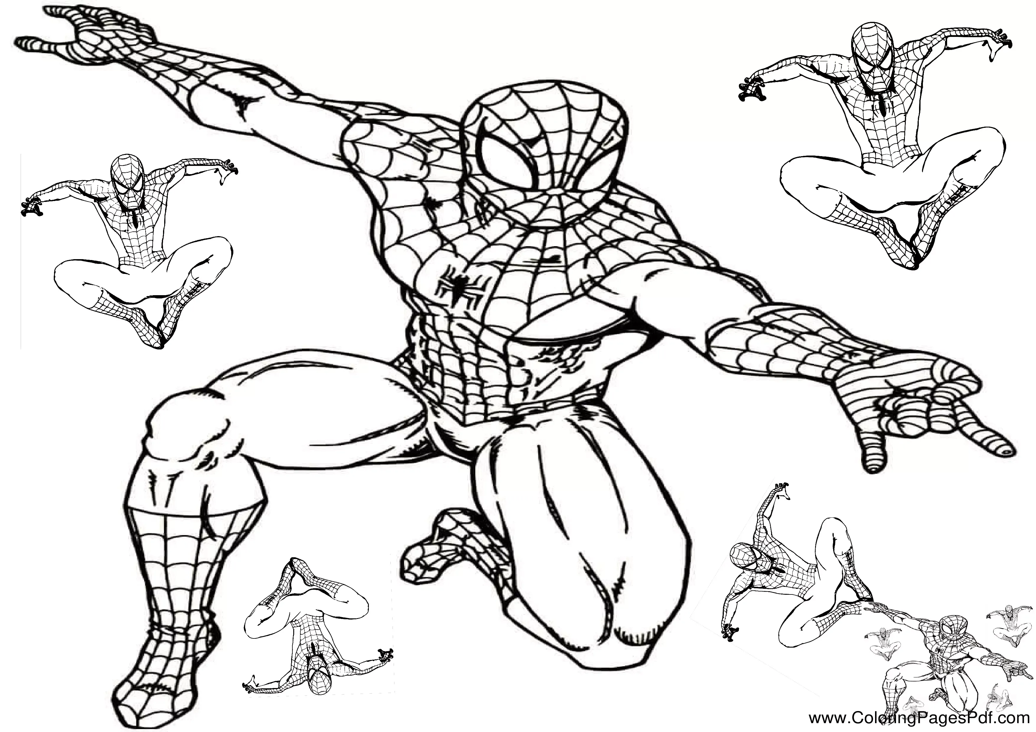 Coloring spider man