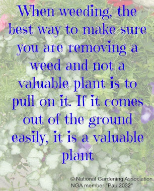 From the National Gardening Association