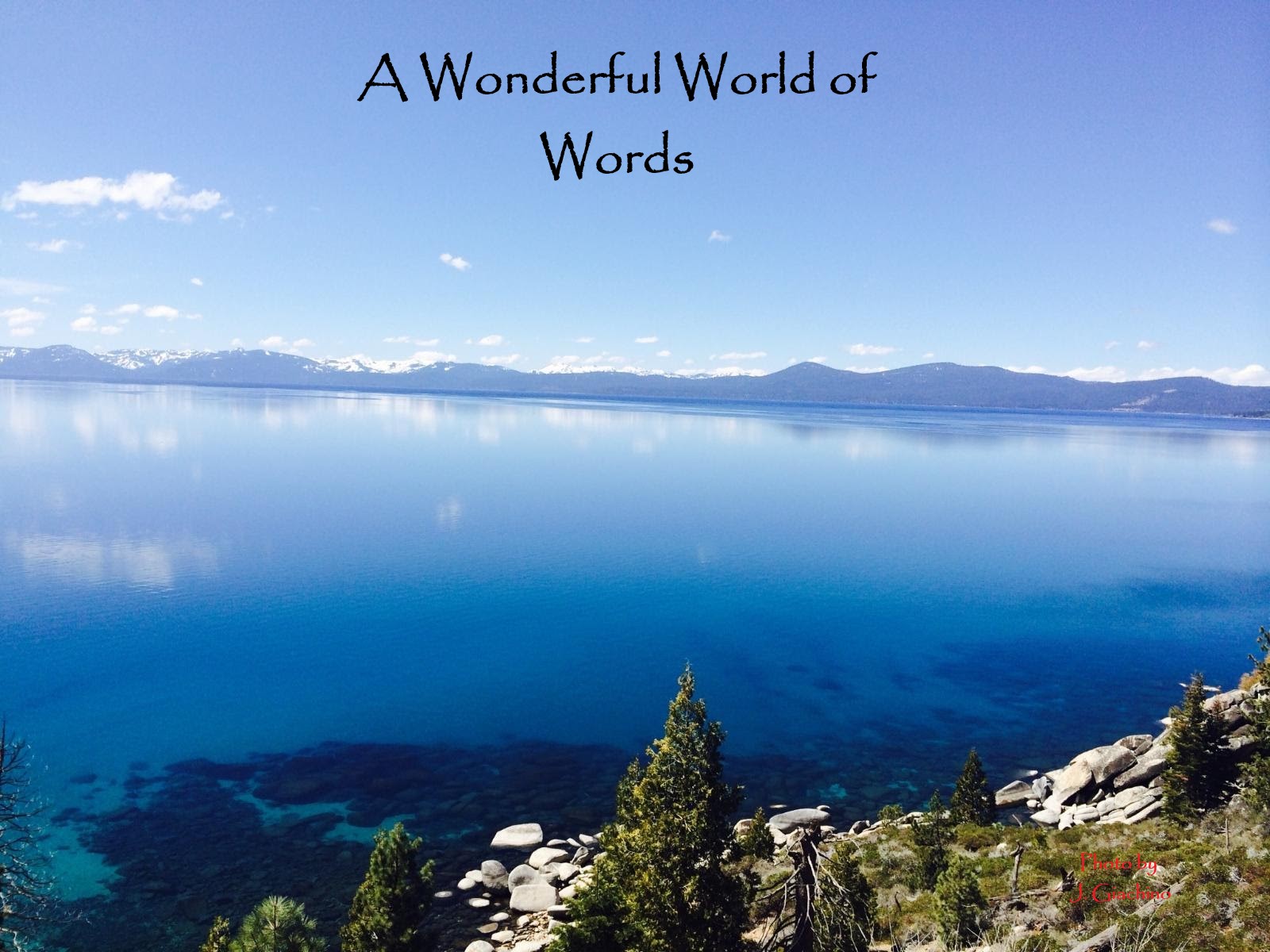 A Wonderful World of Words