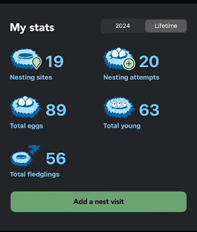 Current stats for my bluebird house