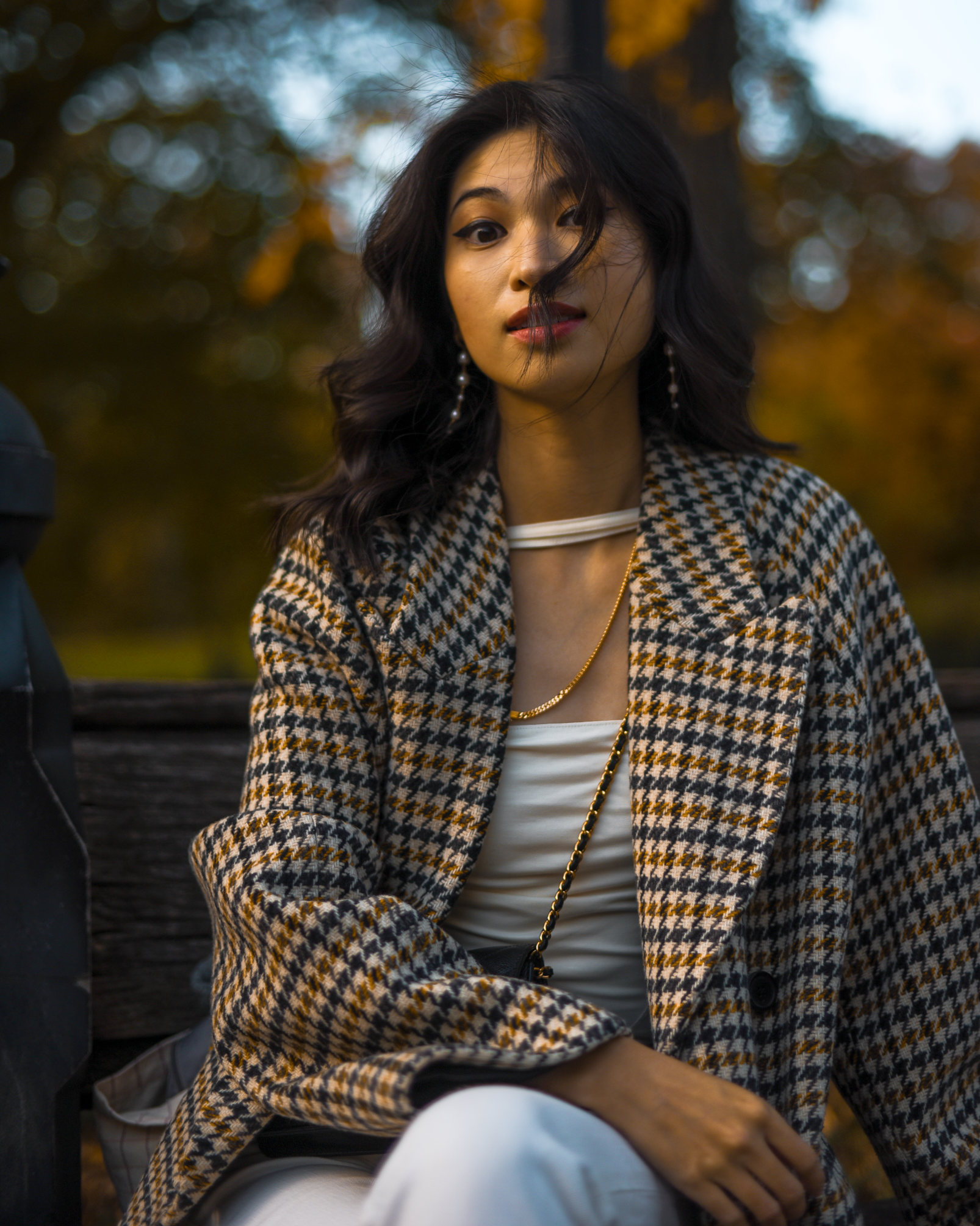 Fall plaid oversized coat, beige outfit ideas for fall, Aritzia Wilfred Prescott Wool Coat, fall style in New York, Central Park fashion photo ideas - FOREVERVANNY.com