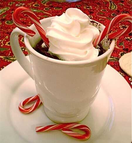 Chocolate Candy Cane Mug Cake Recipe