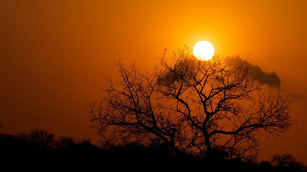 Kruger National Park South Africa