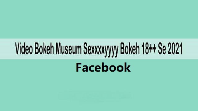 Video Bokeh Museum Sexxxxyyyy Bokeh 18 ++ SE 2018