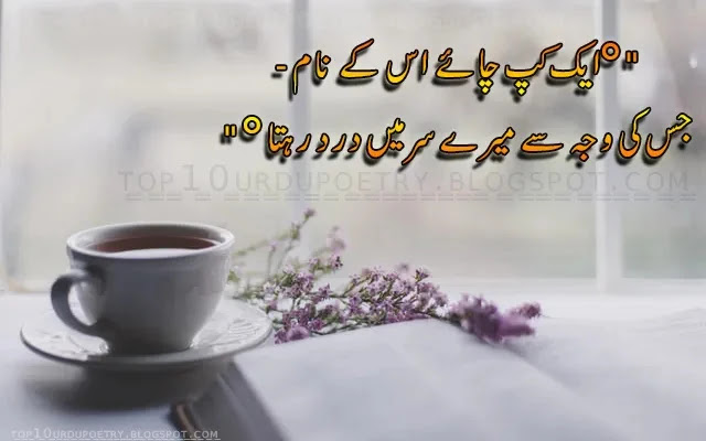 Chia Urdu Shayari SMS Copy-paste - 2024 - Tea in Table