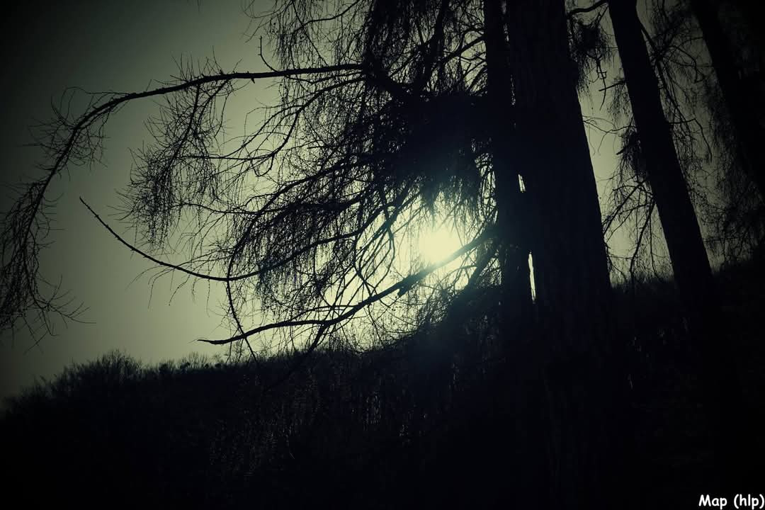 Obrázek