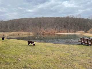 A pond with a bench and dock in the foreground.