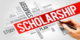 How to get scholarship in Nigeria