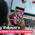 Spring Wallpapers | sfondi per iPhone 11 con tema la Primavera