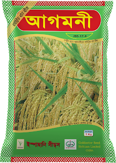 আগমনী