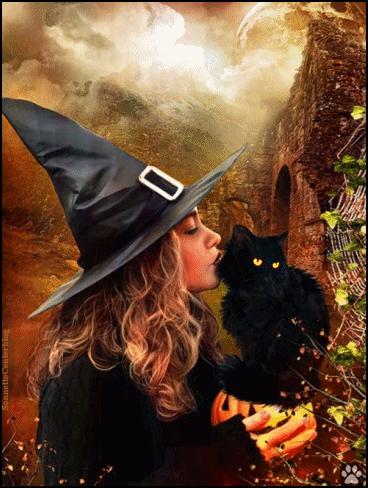 Art Cat GIF • Black cat loves Halloween time and affectionate young witch