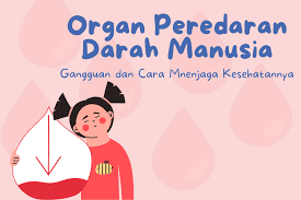 Menjaga Sistem Peredaran Darah Manusia