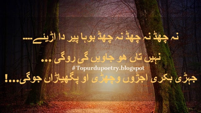 mian muhammad bakhsh poetry in punjabi