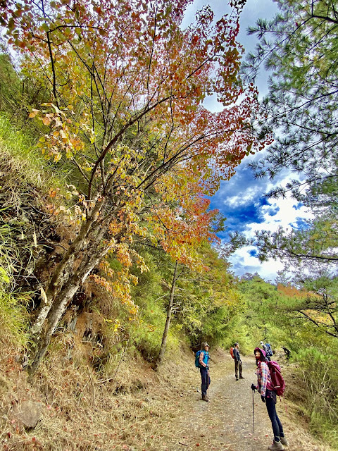 往北三錐山--200林道