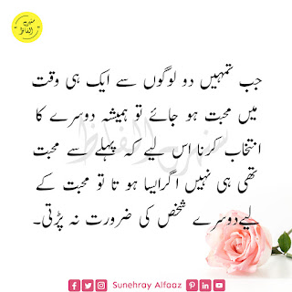 Sad Quotes in Urdu About Life