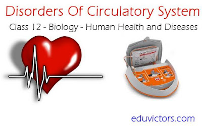 DISORDERS OF CIRCULATORY SYSTEM - Class 12 Biology - Pre-Medical - Human Health and Diseases #NEET #Biology #HeartDiorders #biology