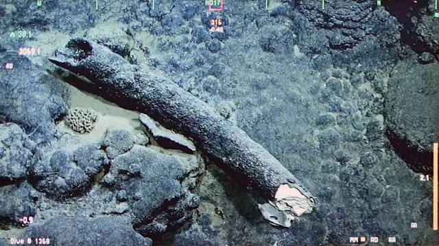 Researchers recover ancient mammoth tusk during deep-sea expedition off California coast