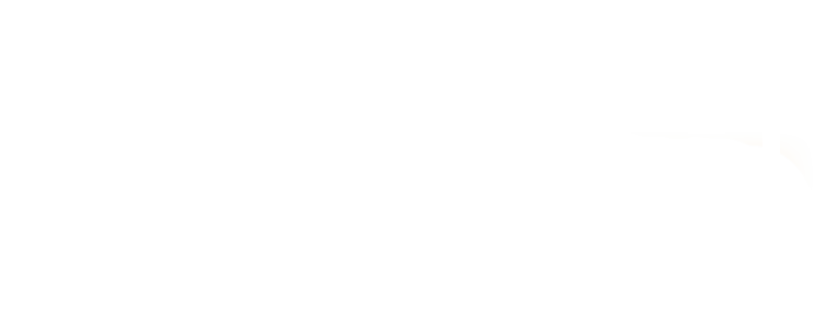 공백서버(금지)