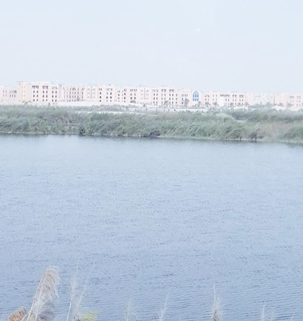 Al Warsan Lake