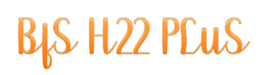 BfS H22_26