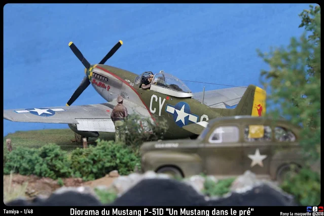 Diorama "Un Mustang dans le pré" P-51D Mustang