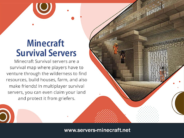 Minecraft Survival Servers